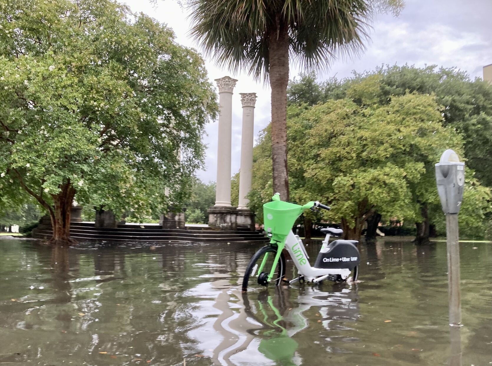 Bicycle at Cannon Park Flood